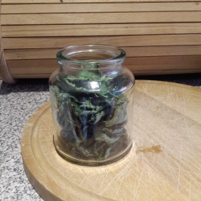 I dried lemon balm leaves to use for tea later in the year